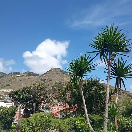Kanela Machico (Madeira)