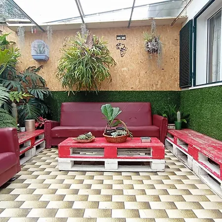 Kanela Machico (Madeira)