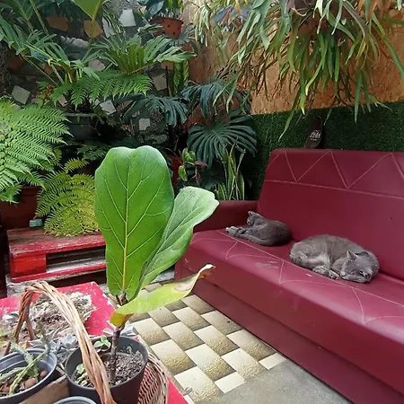 Apartmán Kanela Machico (Madeira)