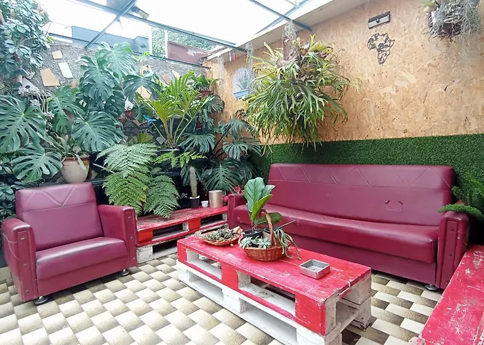 Apartamento Kanela Machico (Madeira)