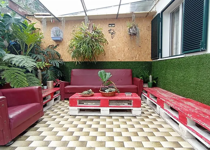 Kanela Machico (Madeira)