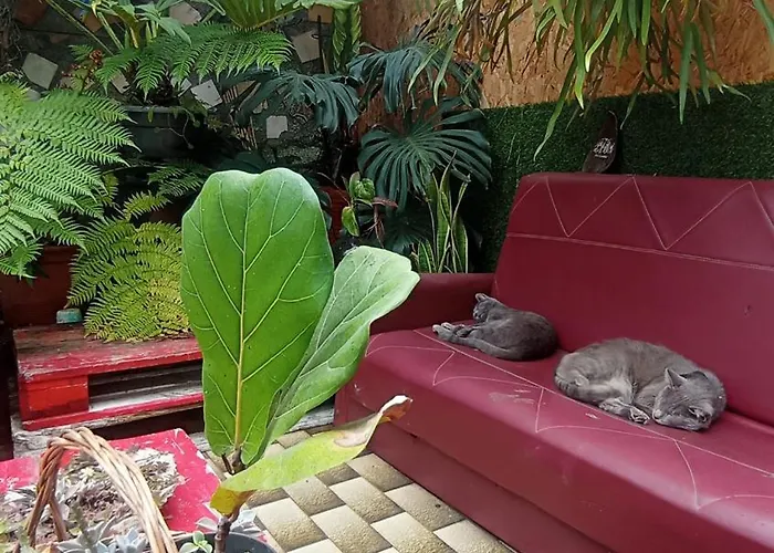 Apartamento Kanela Machico (Madeira)