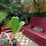 Apartamento Kanela Machico (Madeira)