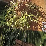Apartamento Kanela