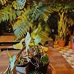 Apartamento Kanela