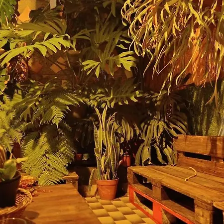 Kanela 아파트 마치코