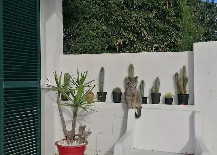 Kanela 아파트 마치코